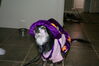 Filename=20081031_003.jpg
Filesize=131KiB
Dimensions=1023x684
Date added=Nov 03, 2008 20081031_003.jpg