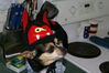 Filename=20081031_004.jpg
Filesize=136KiB
Dimensions=1023x684
Date added=Nov 03, 2008 20081031_004.jpg