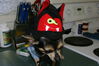 Filename=20081031_007.jpg
Filesize=133KiB
Dimensions=1023x684
Date added=Nov 03, 2008 20081031_007.jpg