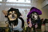 Filename=20081031_010.jpg
Filesize=172KiB
Dimensions=1023x684
Date added=Nov 03, 2008 20081031_010.jpg