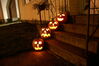 Filename=20081031_018.jpg
Filesize=178KiB
Dimensions=1023x684
Date added=Nov 03, 2008 20081031_018.jpg