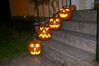 Filename=20081031_019.jpg
Filesize=169KiB
Dimensions=1023x684
Date added=Nov 03, 2008 20081031_019.jpg