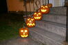 Filename=20081031_020.jpg
Filesize=186KiB
Dimensions=1023x684
Date added=Nov 03, 2008 20081031_020.jpg