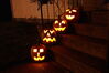 Filename=20081031_021.jpg
Filesize=145KiB
Dimensions=1023x684
Date added=Nov 03, 2008 20081031_021.jpg