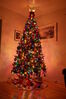 Filename=20081206_005.jpg
Filesize=154KiB
Dimensions=685x1023
Date added=Dec 07, 2008 20081206_005.jpg