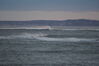 Filename=20081213_015.jpg
Filesize=110KiB
Dimensions=1023x685
Date added=Dec 30, 2008 20081213_015.jpg