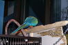 Filename=20081227_010.jpg
Filesize=150KiB
Dimensions=1023x685
Date added=Dec 30, 2008 20081227_010.jpg