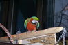 Filename=20081227_011.jpg
Filesize=141KiB
Dimensions=1023x685
Date added=Dec 30, 2008 20081227_011.jpg