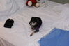 Filename=20081231_017.jpg
Filesize=111KiB
Dimensions=1023x685
Date added=Jan 04, 2009 20081231_017.jpg