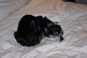 Filename=20090101_007.jpg
Filesize=119KiB
Dimensions=1023x685
Date added=Jan 04, 2009 20090101_007.jpg