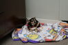 Filename=20090101_011.jpg
Filesize=142KiB
Dimensions=1023x685
Date added=Jan 04, 2009 20090101_011.jpg