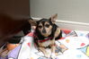 Filename=20090101_012.jpg
Filesize=143KiB
Dimensions=1023x685
Date added=Jan 04, 2009 20090101_012.jpg