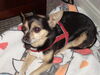 Filename=20090101_013.jpg
Filesize=158KiB
Dimensions=1024x768
Date added=Jan 04, 2009 20090101_013.jpg