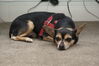 Filename=20090101_016.jpg
Filesize=146KiB
Dimensions=1023x685
Date added=Jan 04, 2009 20090101_016.jpg