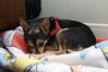 Filename=20090101_020.jpg
Filesize=147KiB
Dimensions=1023x685
Date added=Jan 04, 2009 20090101_020.jpg