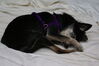 Filename=20090101_022.jpg
Filesize=121KiB
Dimensions=1023x685
Date added=Jan 04, 2009 20090101_022.jpg