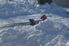 Filename=20090103_001.jpg
Filesize=179KiB
Dimensions=1023x685
Date added=Jan 04, 2009 20090103_001.jpg