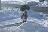 Filename=20090103_003.jpg
Filesize=202KiB
Dimensions=1023x685
Date added=Jan 04, 2009 20090103_003.jpg