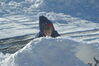 Filename=20090103_008.jpg
Filesize=135KiB
Dimensions=1023x685
Date added=Jan 04, 2009 20090103_008.jpg