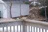 Filename=20090128_002.jpg
Filesize=158KiB
Dimensions=1023x685
Date added=Mar 04, 2009 20090128_002.jpg