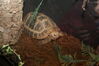Filename=20090228_003.jpg
Filesize=177KiB
Dimensions=1023x685
Date added=Mar 04, 2009 20090228_003.jpg