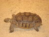 Filename=20090228_004.jpg
Filesize=159KiB
Dimensions=1024x768
Date added=Mar 04, 2009 20090228_004.jpg