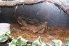 Filename=20090228_007.jpg
Filesize=200KiB
Dimensions=1023x685
Date added=Mar 04, 2009 20090228_007.jpg