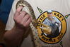 Filename=20090228_008.jpg
Filesize=146KiB
Dimensions=1023x685
Date added=Mar 04, 2009 20090228_008.jpg