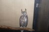 Filename=20090228_014.jpg
Filesize=215KiB
Dimensions=1023x685
Date added=Mar 04, 2009 20090228_014.jpg