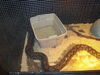 Filename=20090228_015.jpg
Filesize=284KiB
Dimensions=1024x768
Date added=Mar 04, 2009 20090228_015.jpg