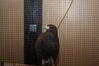 Filename=20090228_017.jpg
Filesize=149KiB
Dimensions=1023x685
Date added=Mar 04, 2009 20090228_017.jpg