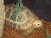 Filename=20090228_019.jpg
Filesize=177KiB
Dimensions=1024x768
Date added=Mar 04, 2009 20090228_019.jpg