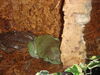 Filename=20090228_020.jpg
Filesize=187KiB
Dimensions=1024x768
Date added=Mar 04, 2009 20090228_020.jpg