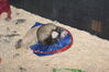 Filename=20090228_026.jpg
Filesize=177KiB
Dimensions=1023x685
Date added=Mar 04, 2009 20090228_026.jpg