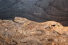 Filename=20090228_027.jpg
Filesize=223KiB
Dimensions=1023x685
Date added=Mar 04, 2009 20090228_027.jpg