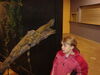 Filename=20090228_032.jpg
Filesize=158KiB
Dimensions=1024x768
Date added=Mar 04, 2009 20090228_032.jpg