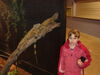 Filename=20090228_033.jpg
Filesize=179KiB
Dimensions=1024x768
Date added=Mar 04, 2009 20090228_033.jpg