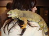 Filename=20090228_037.jpg
Filesize=189KiB
Dimensions=1024x768
Date added=Mar 04, 2009 20090228_037.jpg