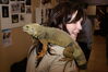 Filename=20090228_038.jpg
Filesize=156KiB
Dimensions=1023x685
Date added=Mar 04, 2009 20090228_038.jpg