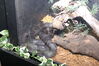 Filename=20090228_045.jpg
Filesize=210KiB
Dimensions=1023x685
Date added=Mar 04, 2009 20090228_045.jpg