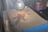 Filename=20090228_049.jpg
Filesize=196KiB
Dimensions=1023x685
Date added=Mar 04, 2009 20090228_049.jpg