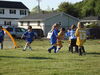Filename=20090617_005.jpg
Filesize=225KiB
Dimensions=1024x768
Date added=Jun 17, 2009 20090617_005.jpg
