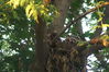 Filename=20090623_014.jpg
Filesize=191KiB
Dimensions=1023x685
Date added=Jun 30, 2009 20090623_014.jpg