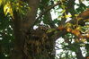 Filename=20090623_016.jpg
Filesize=196KiB
Dimensions=1023x685
Date added=Jun 30, 2009 20090623_016.jpg