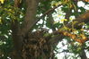 Filename=20090623_019.jpg
Filesize=193KiB
Dimensions=1023x685
Date added=Jun 30, 2009 20090623_019.jpg