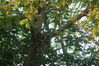 Filename=20090623_022.jpg
Filesize=279KiB
Dimensions=1023x685
Date added=Jun 30, 2009 20090623_022.jpg