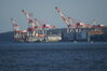 Filename=20090714_036.jpg
Filesize=129KiB
Dimensions=1023x685
Date added=Jul 22, 2009 20090714_036.jpg