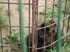 Filename=20090717_009.jpg
Filesize=178KiB
Dimensions=1024x768
Date added=Jul 22, 2009 20090717_009.jpg