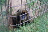 Filename=20090717_011.jpg
Filesize=251KiB
Dimensions=1023x685
Date added=Jul 22, 2009 20090717_011.jpg