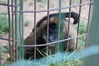 Filename=20090717_013.jpg
Filesize=175KiB
Dimensions=1023x685
Date added=Jul 22, 2009 20090717_013.jpg